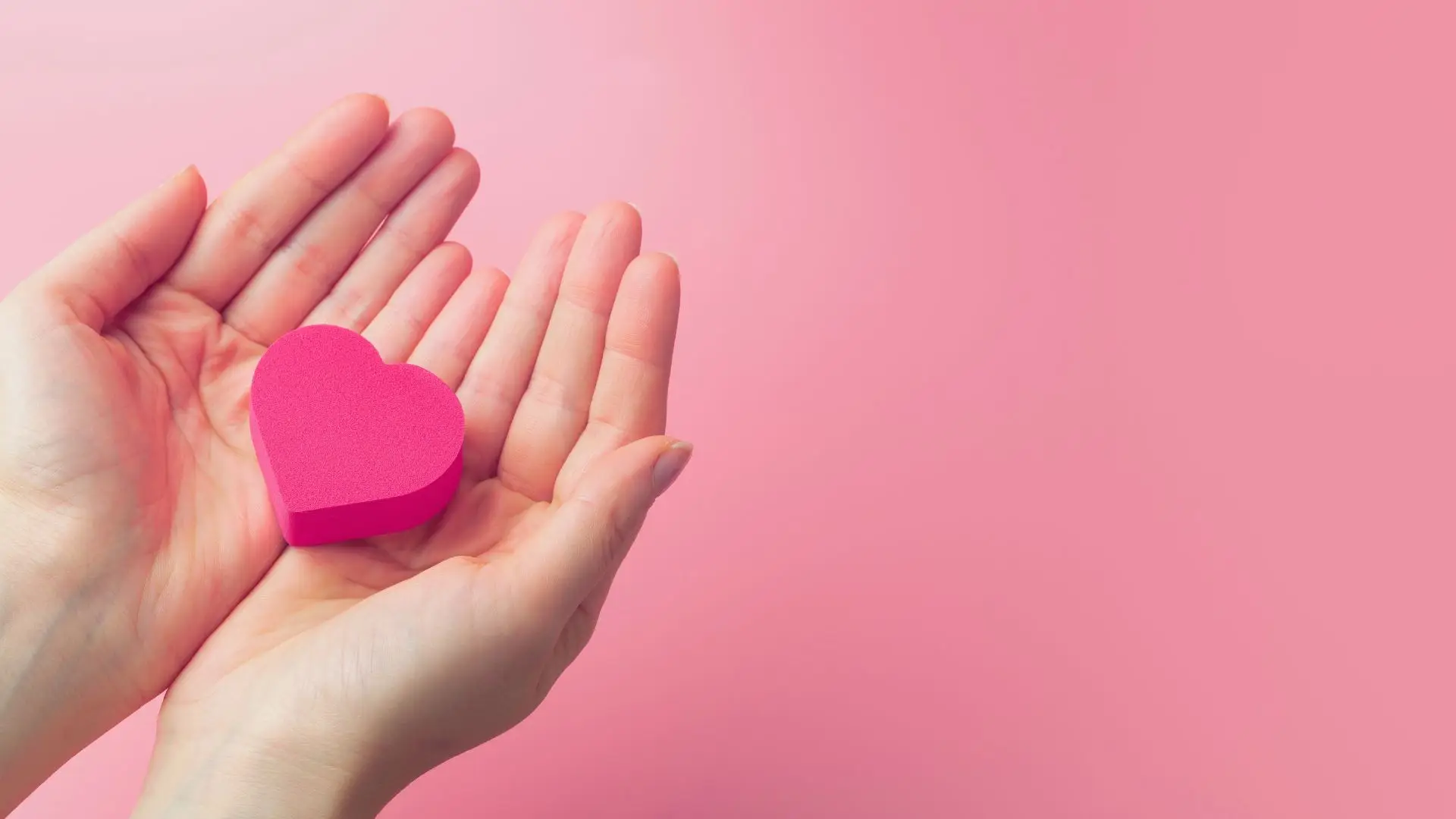 Charitable Organization Support